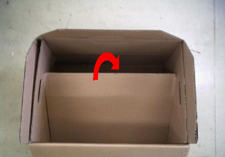 dan9.gif